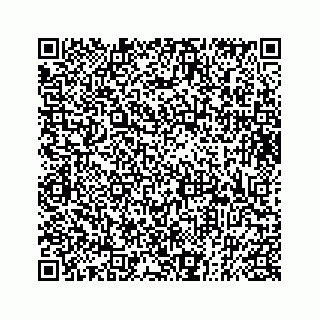 vCard 73833397187