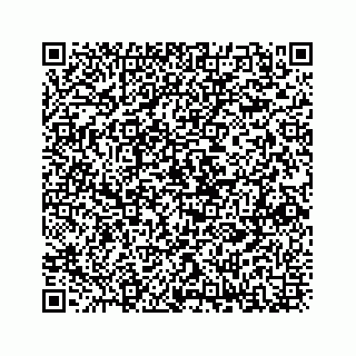 vCard 73833397200