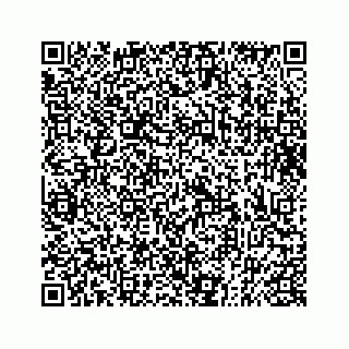 vCard 73833397229