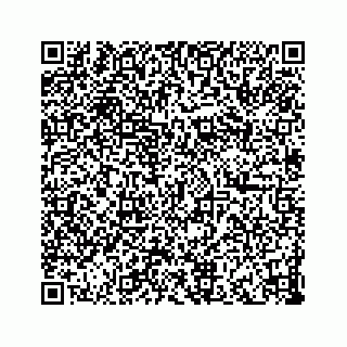 vCard 73833397265