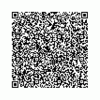 vCard 73833397296
