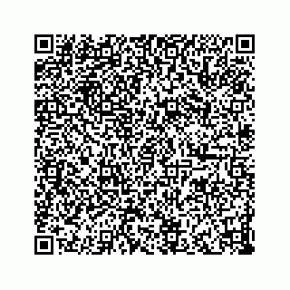 vCard 73833397299