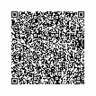 vCard 73833397337