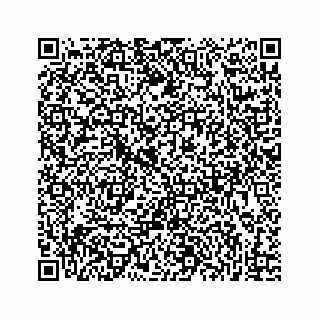 vCard 73833397339