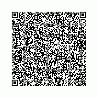 vCard 73833397384