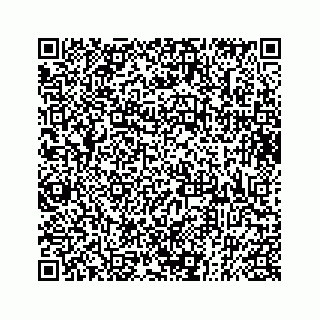 vCard 73833397393