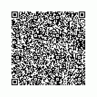 vCard 73833397397