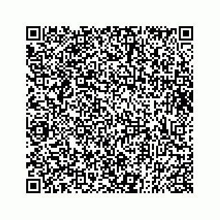 vCard 73833397409