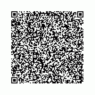 vCard 73833397495