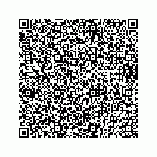 vCard 73833599003