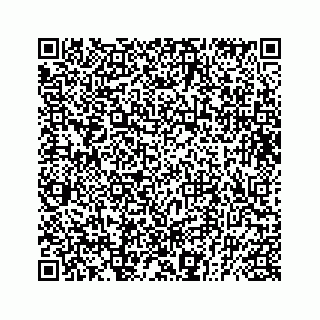 vCard 73833599004