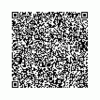 vCard 73833599039