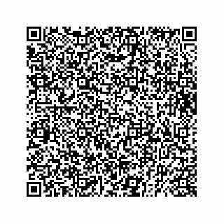 vCard 73833599106