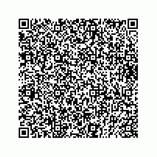 vCard 73833599107