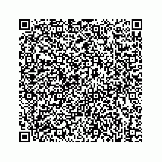 vCard 73833599111