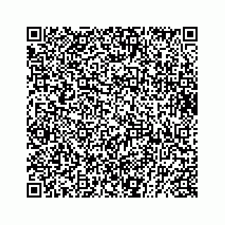 vCard 73833599113