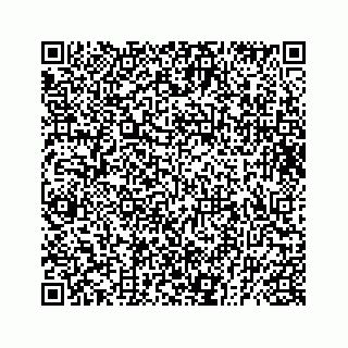 vCard 73833599119