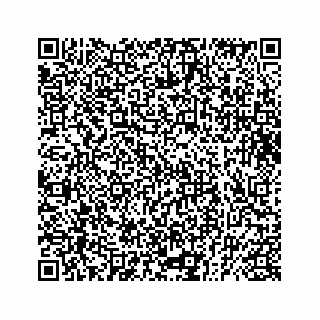 vCard 73833599121