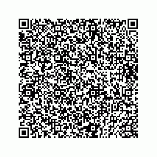 vCard 73833599129