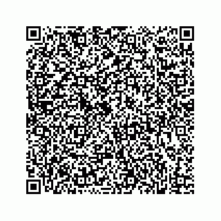vCard 73833599168