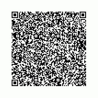 vCard 73833599169