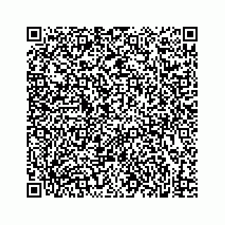 vCard 73833599171