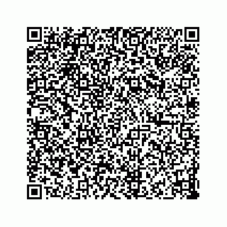 vCard 73833599179