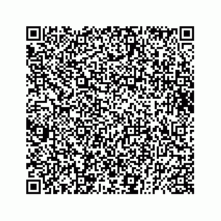 vCard 73833599181