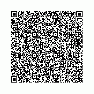 vCard 73833777074
