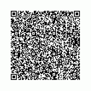vCard 73833777077