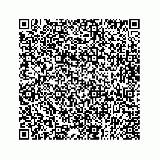 vCard 73833787880