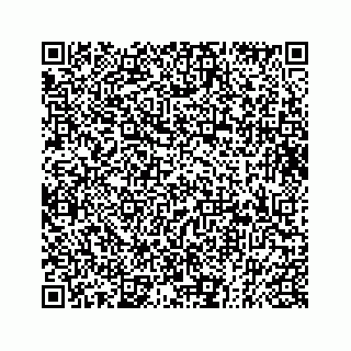 vCard 73833787881