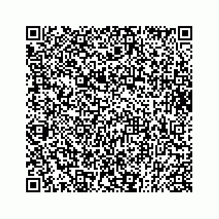 vCard 73833787882