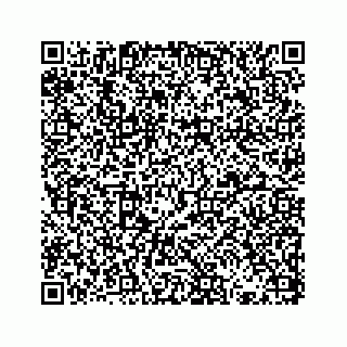 vCard 73833787884