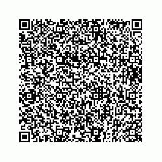 vCard 73833787887
