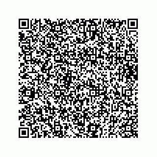 vCard 73833830002