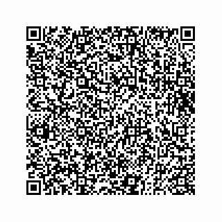vCard 73833830029