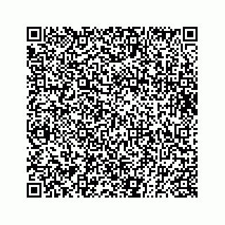 vCard 73833830099