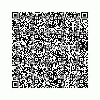 vCard 73833830113