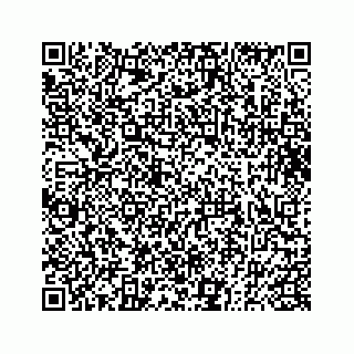 vCard 73833830131