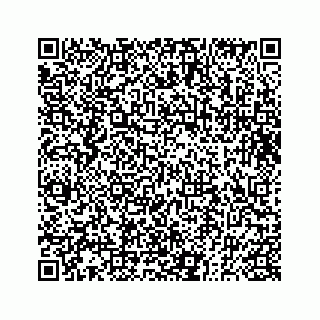 vCard 73833830209