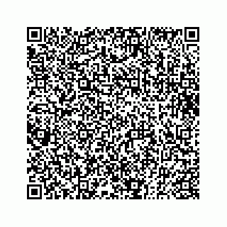 vCard 73833830271
