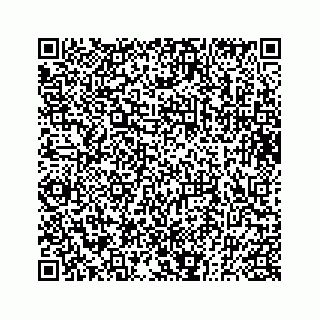 vCard 73833830272