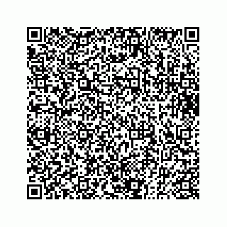 vCard 73833830273
