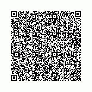 vCard 73833830299