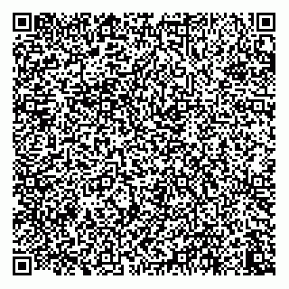 vCard 73833830308