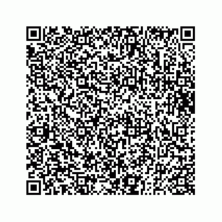 vCard 73833830312