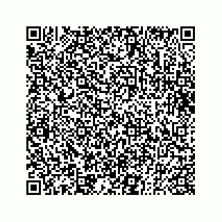 vCard 73833830320