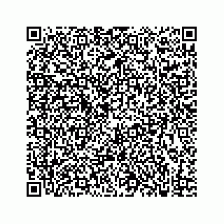 vCard 73833830321