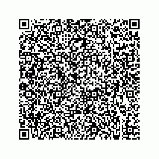 vCard 73833830322